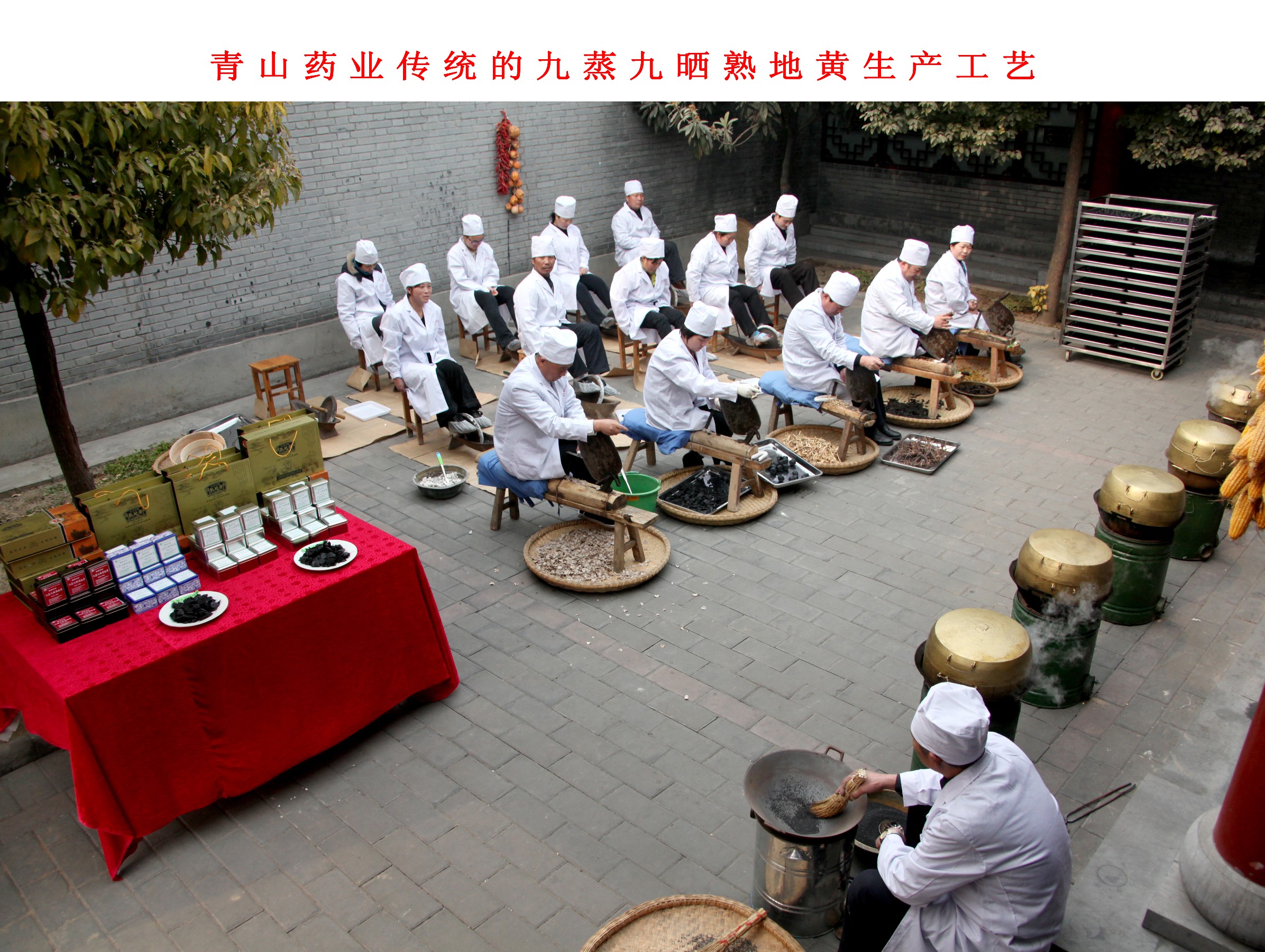 青山药业九蒸九晒熟地生产工艺展示